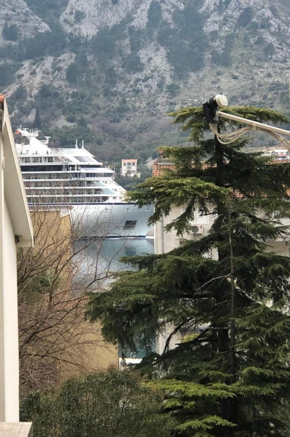 Unico Apartman Kotor Luaran gambar
